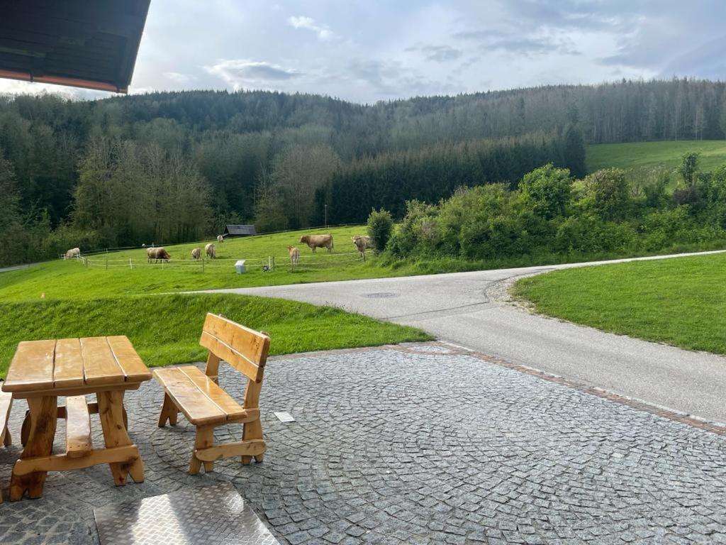 Ferienwohnung ,Hoizmann' Pinsdorf Exterior photo